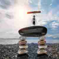 什‌么‍叫‌网‌站‍收‌录‌